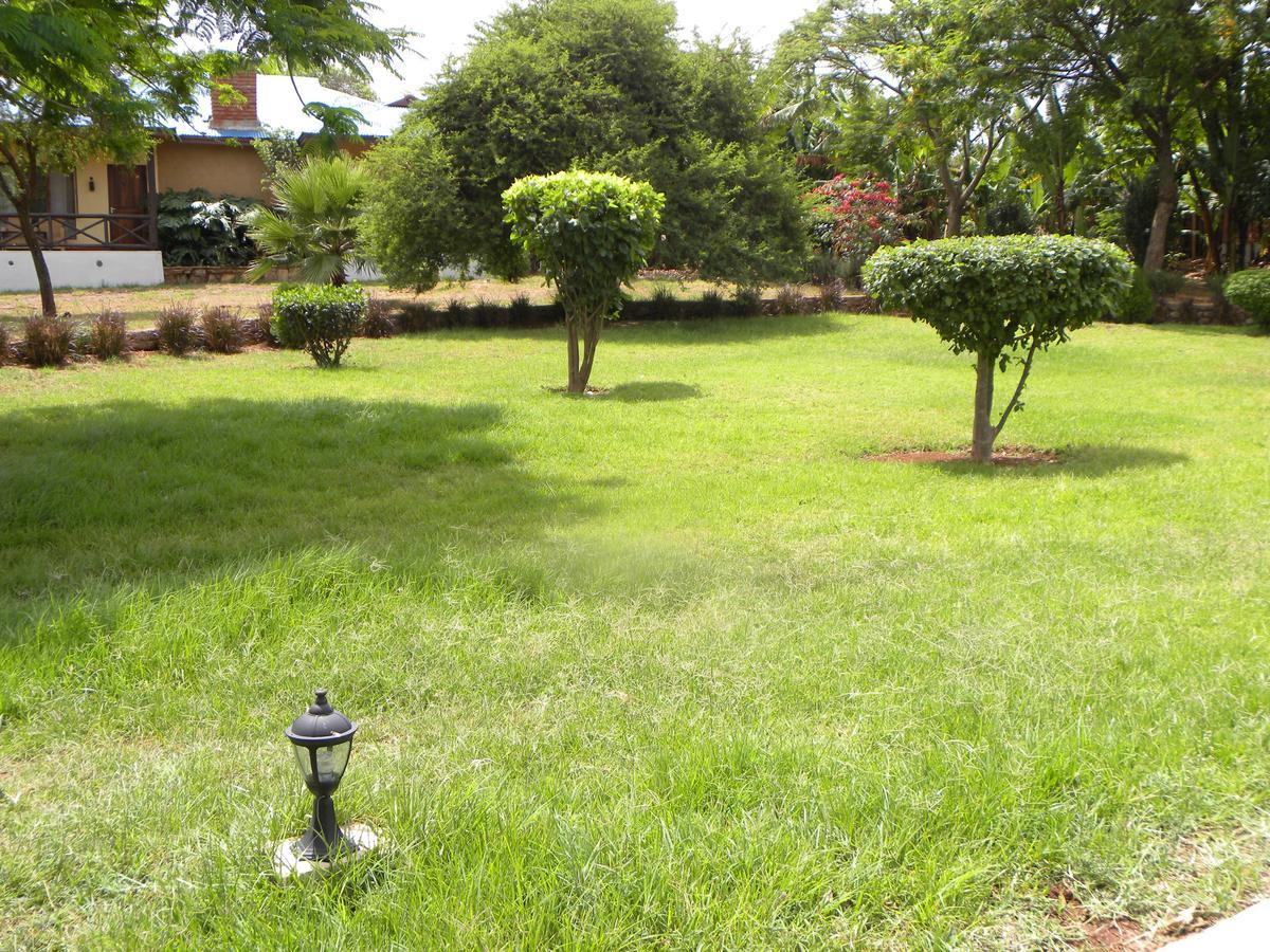 Olea Africana Lodge 卡拉图 外观 照片