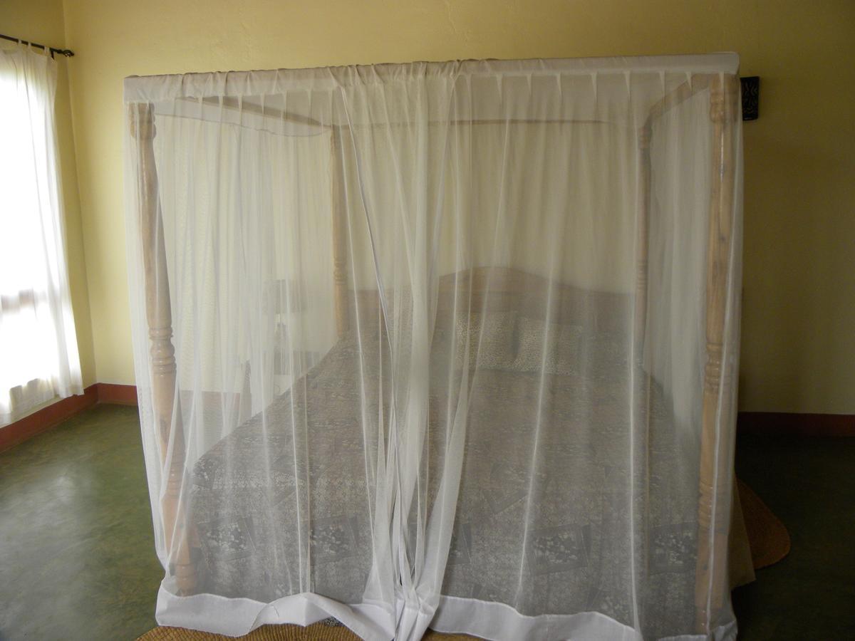 Olea Africana Lodge 卡拉图 外观 照片
